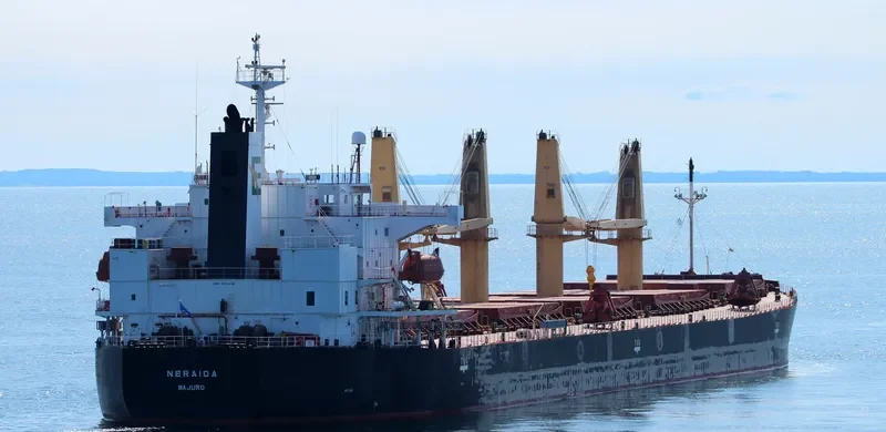 NERAIDA Bulk Carrier IMO 9272448 photo 4