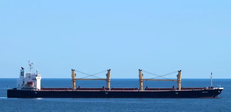 NERAIDA Bulk Carrier IMO 9272448 photo 5