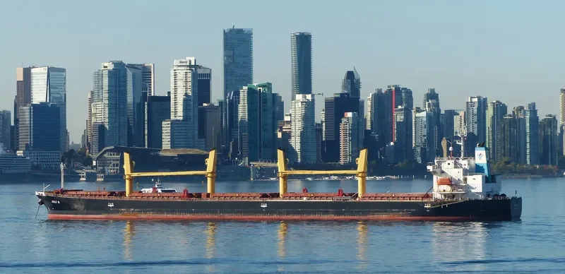 NERAIDA Bulk Carrier IMO 9272448 photo 7