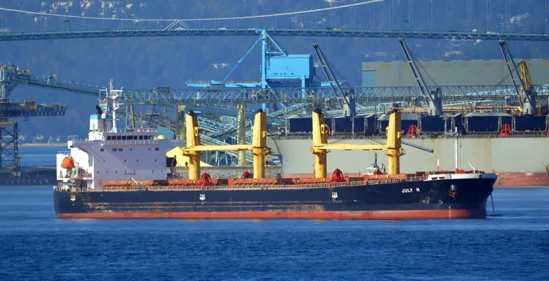 NERAIDA Bulk Carrier IMO 9272448 photo 8