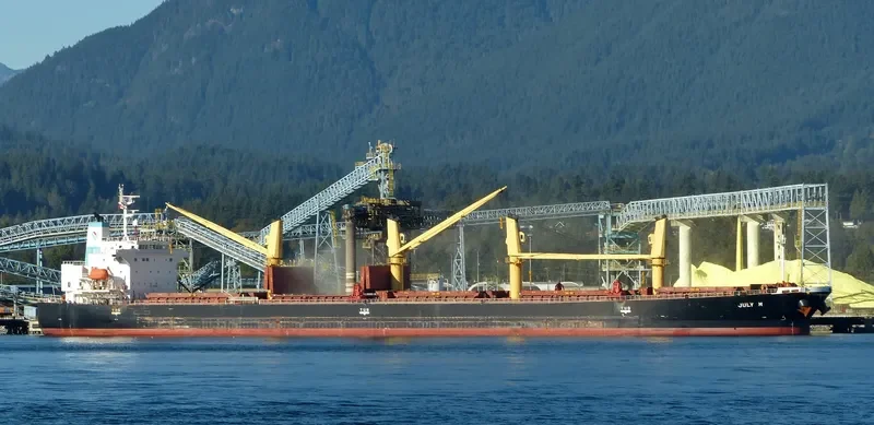 NERAIDA Bulk Carrier IMO 9272448 photo 9