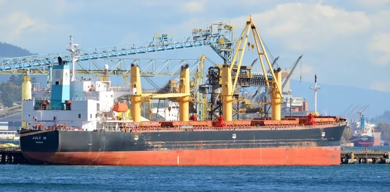 NERAIDA Bulk Carrier IMO 9272448 photo 10