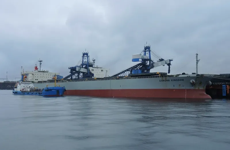 CORONA KINGDOM Bulk Carrier IMO 9272527 photo 3