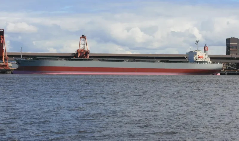 CORONA KINGDOM Bulk Carrier IMO 9272527 photo 8