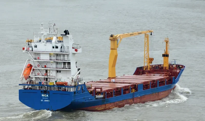 FESCO NEVELSK General Cargo IMO 9272670 photo 2