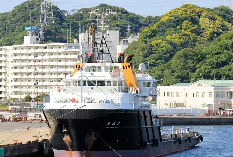 SHIN CHOU MARU Offshore Vessel IMO 9272840 photo 4