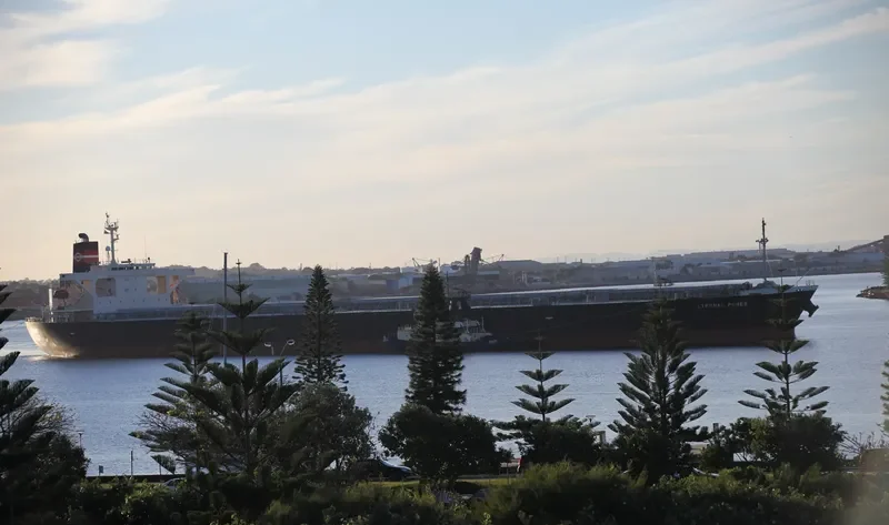 MARYAM Bulk Carrier IMO 9272864 photo 5