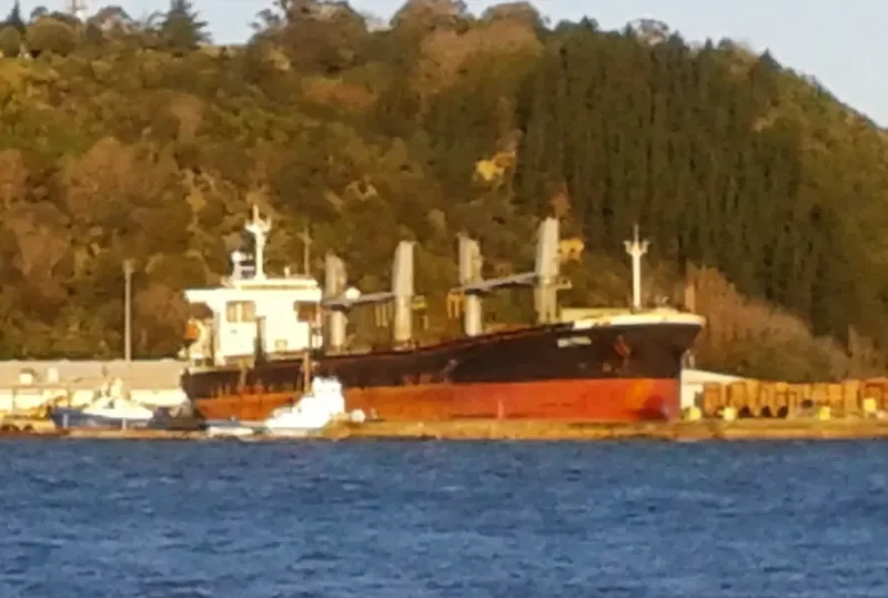 CHITRAL Bulk Carrier IMO 9272876