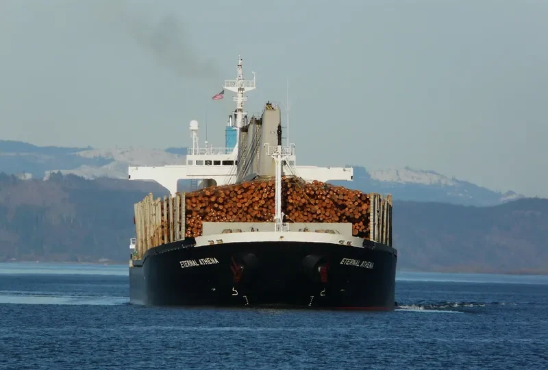 CHITRAL Bulk Carrier IMO 9272876 photo 10