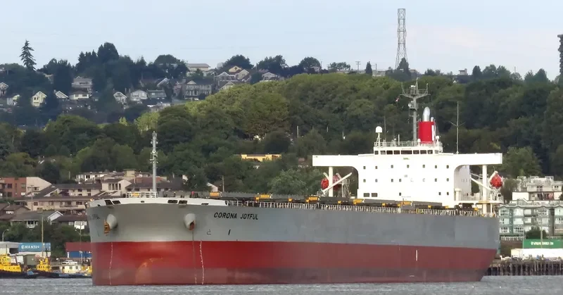 CORONA JOYFUL Bulk Carrier IMO 9272905 photo 4
