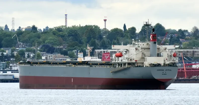 CORONA JOYFUL Bulk Carrier IMO 9272905 photo 9