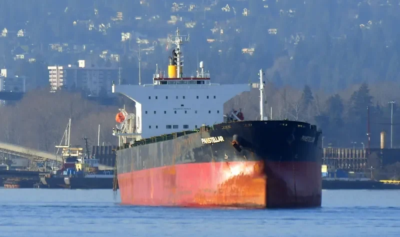 PANSTELLAR Bulk Carrier IMO 9272943 photo 2