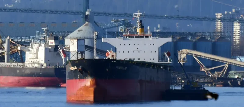 PANSTELLAR Bulk Carrier IMO 9272943 photo 5