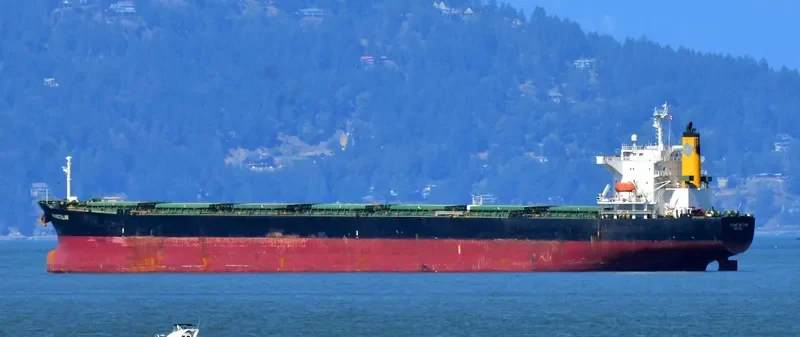PANSTELLAR Bulk Carrier IMO 9272943 photo 6