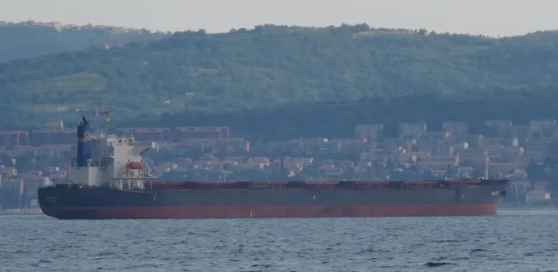 PANTAZIS L Bulk Carrier IMO 9272955 photo 3
