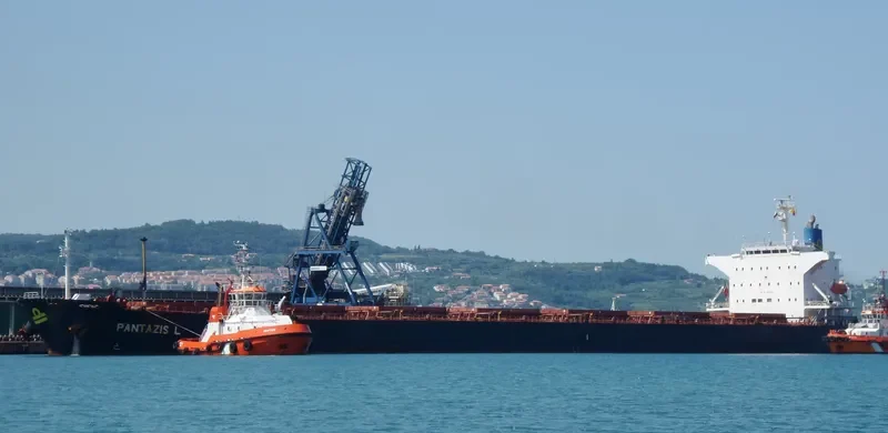 PANTAZIS L Bulk Carrier IMO 9272955 photo 6
