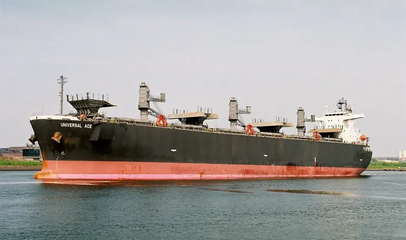 FORESTAL REINA Bulk Carrier IMO 9272979 photo 2