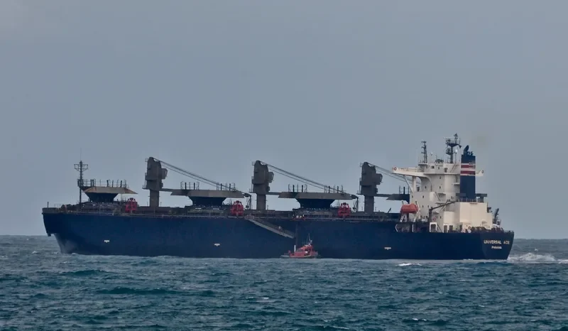 FORESTAL REINA Bulk Carrier IMO 9272979 photo 4