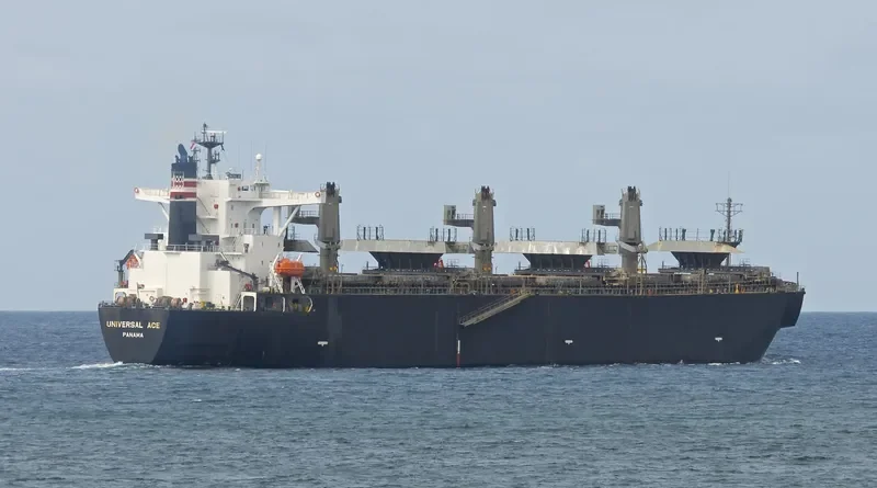 FORESTAL REINA Bulk Carrier IMO 9272979 photo 6