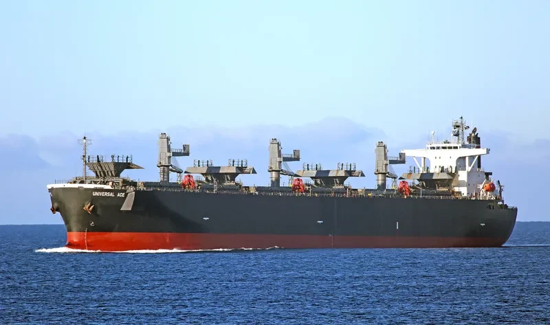 FORESTAL REINA Bulk Carrier IMO 9272979 photo 8