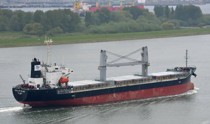 STELLAR TOLEDO Bulk Carrier IMO 9273014 photo 4