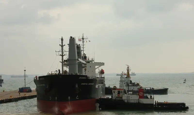 STELLAR TOLEDO Bulk Carrier IMO 9273014 photo 6