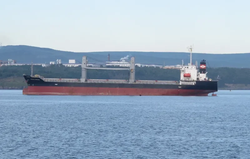 STELLAR TOLEDO Bulk Carrier IMO 9273014 photo 8