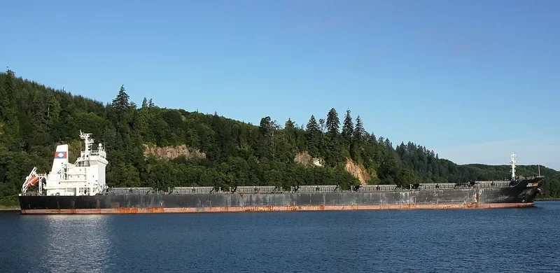 BONANZA Bulk Carrier IMO 9273210 photo 2
