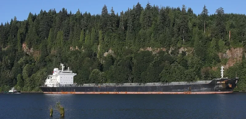 BONANZA Bulk Carrier IMO 9273210 photo 3