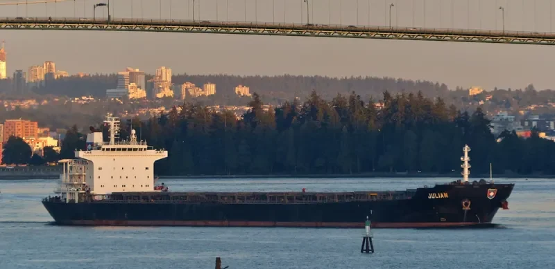 BONANZA Bulk Carrier IMO 9273210 photo 5