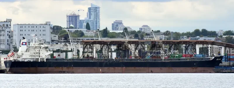 BONANZA Bulk Carrier IMO 9273210 photo 6