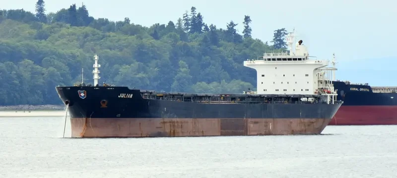 BONANZA Bulk Carrier IMO 9273210 photo 9