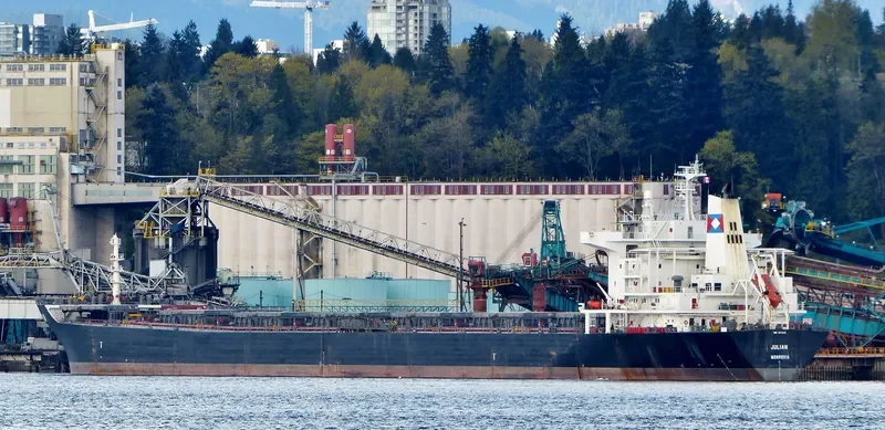 BONANZA Bulk Carrier IMO 9273210 photo 10