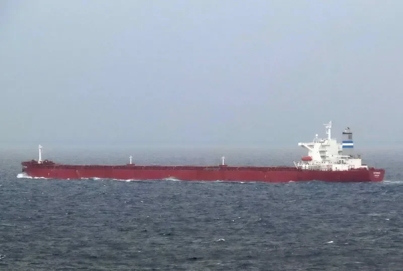 VICTORIUS Bulk Carrier IMO 9273375 photo 2