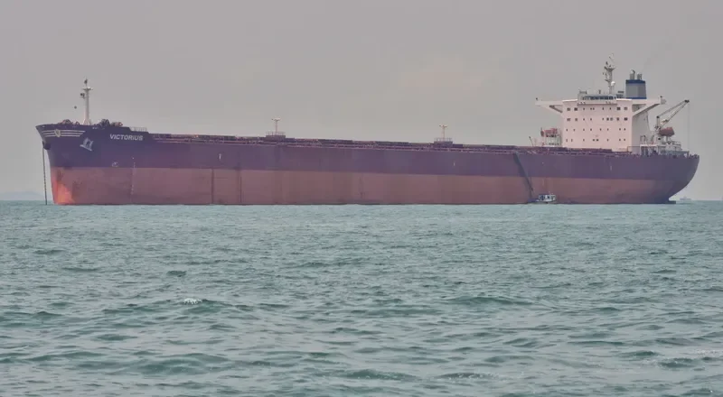 VICTORIUS Bulk Carrier IMO 9273375 photo 5