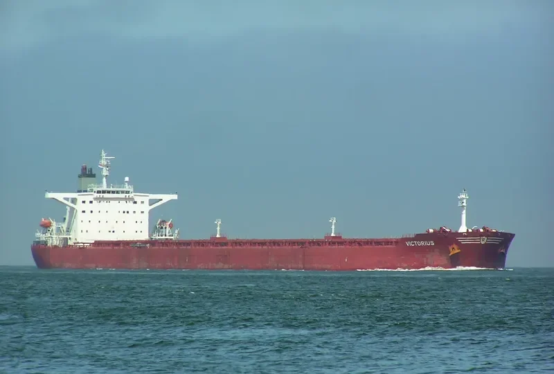 VICTORIUS Bulk Carrier IMO 9273375 photo 6