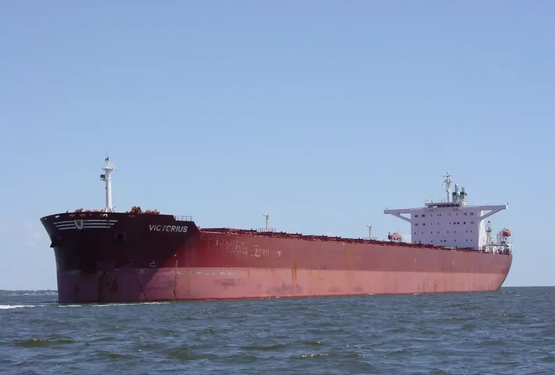 VICTORIUS Bulk Carrier IMO 9273375 photo 8