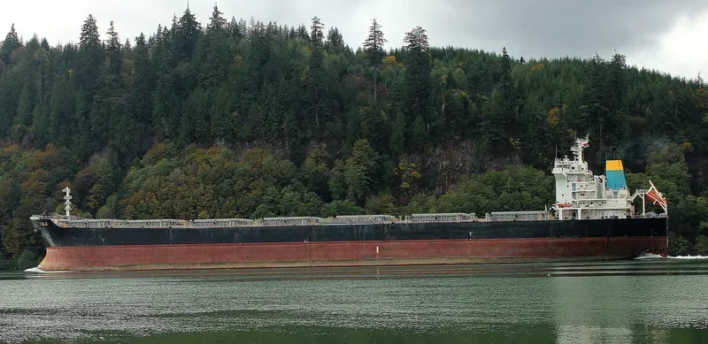 HAI JI Bulk Carrier IMO 9273612 photo 3