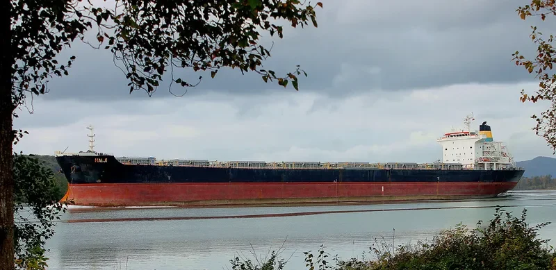 HAI JI Bulk Carrier IMO 9273612 photo 4