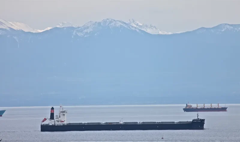 HAI JI Bulk Carrier IMO 9273612 photo 7
