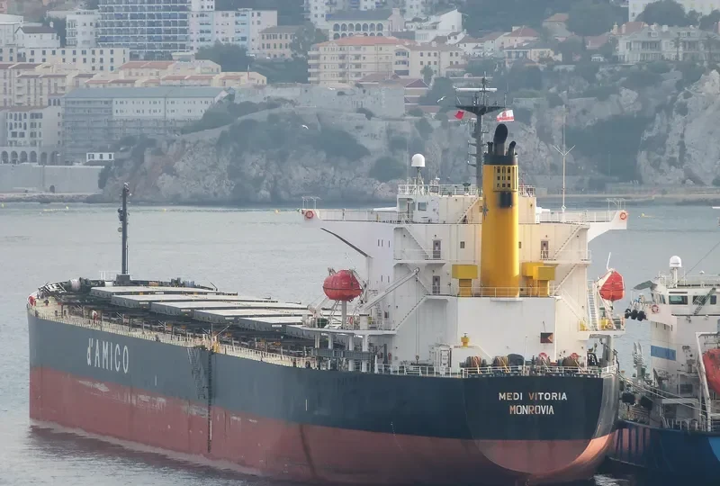 SEA TAURUS Bulk Carrier IMO 9273818