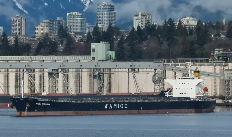 SEA TAURUS Bulk Carrier IMO 9273818 photo 3