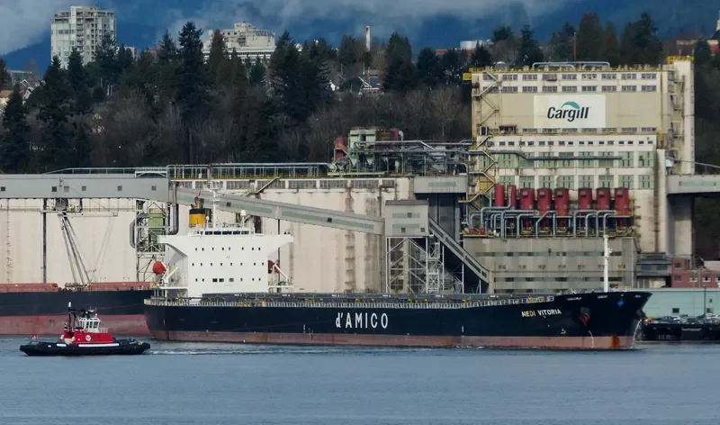 SEA TAURUS Bulk Carrier IMO 9273818 photo 4