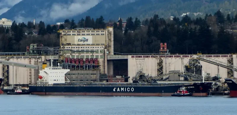SEA TAURUS Bulk Carrier IMO 9273818 photo 5