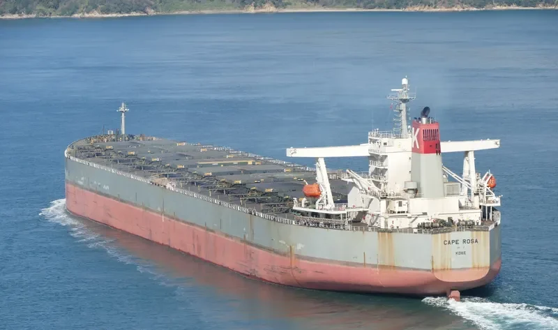 BERGE DINARA Bulk Carrier IMO 9273985