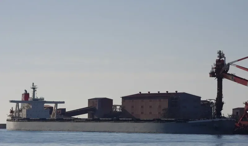 BERGE DINARA Bulk Carrier IMO 9273985 photo 3
