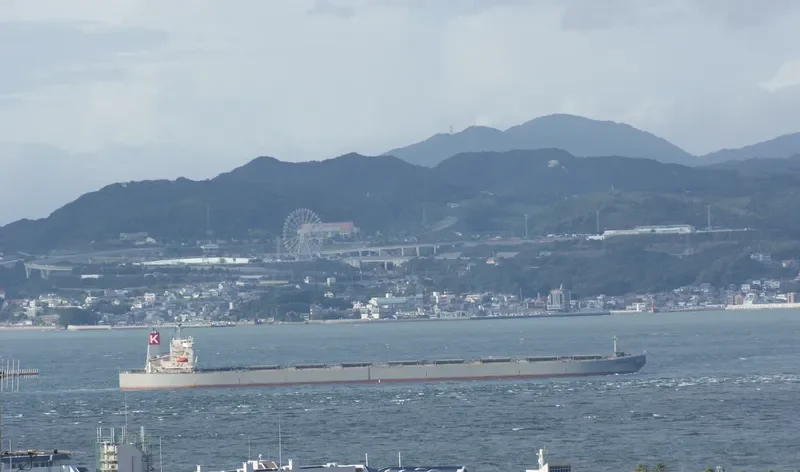 BERGE DINARA Bulk Carrier IMO 9273985 photo 5