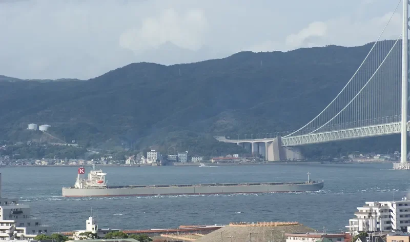 BERGE DINARA Bulk Carrier IMO 9273985 photo 6