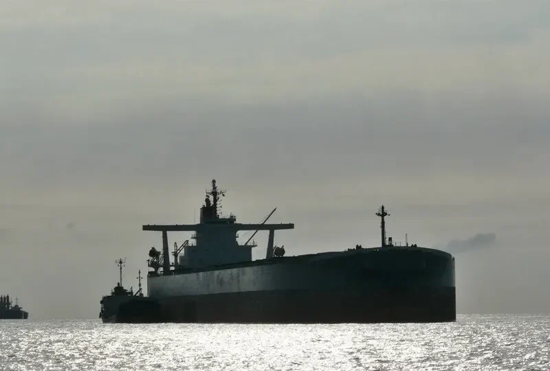 BERGE DINARA Bulk Carrier IMO 9273985 photo 7