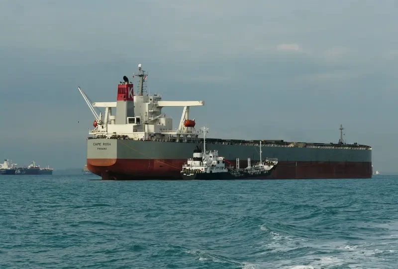 BERGE DINARA Bulk Carrier IMO 9273985 photo 8